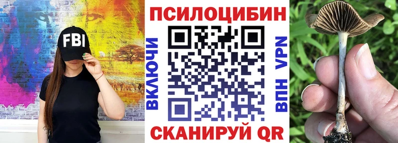 Псилоцибиновые грибы Magic Shrooms  Мураши 
